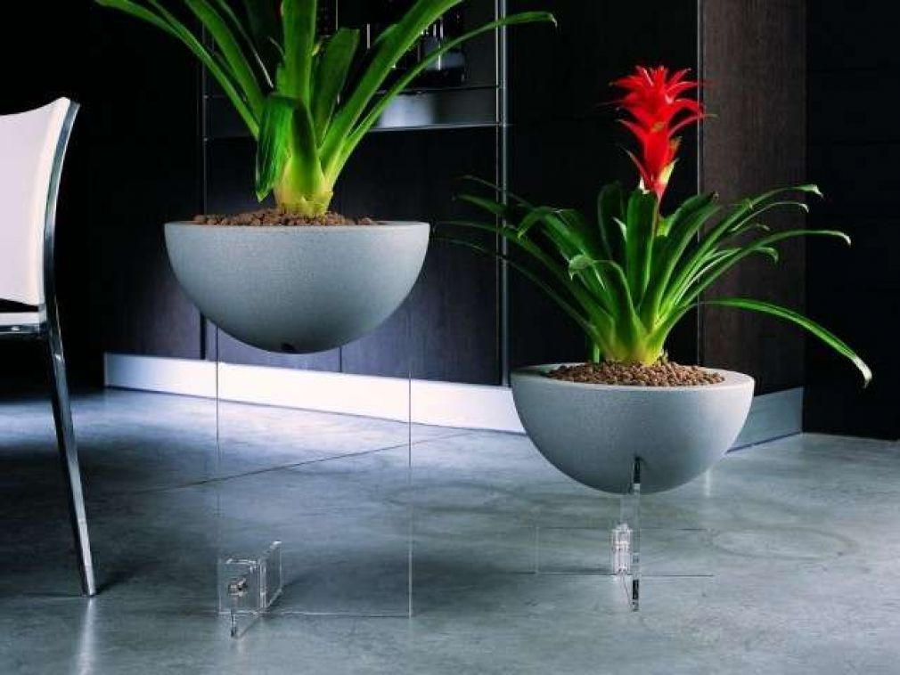Quale vaso per piante è più adatto al vostro stile?